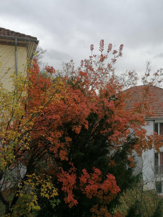 Gaestehaus Goethe-Institut 施韦比施哈尔 外观 照片